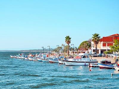 Altınova Evden Eve Nakliyat